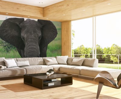 Fotobehang Tansania DD100667 A.S. Création XXL World Trip | 3D Fotobehang op maat
