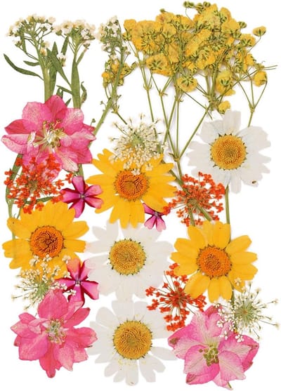 Losse Gedroogde Bloemen Boeket: Persen voor Knutselen, Sieraden en Fotolijsten (24 Stuks)