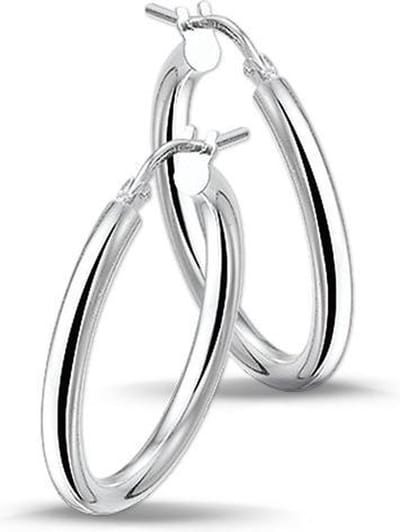 TFT Oorring Ronde Buis Zilver Gerhodineerd Glanzend 2.5 mm x 30 mm