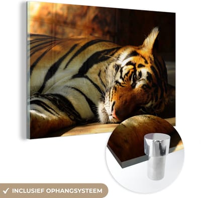 MuchoWow® Glasschilderij 60x40 cm - Schilderij acrylglas - Tijger - Dieren - Rusten - Foto op glas - Schilderijen