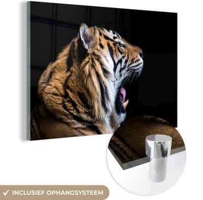 MuchoWow® Glasschilderij 120x80 cm - Schilderij acrylglas - Tijger - Dieren - Portret - Foto op glas - Schilderijen