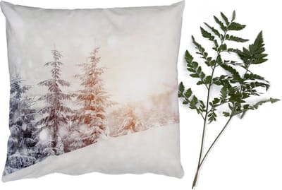 Sierkussens - Kussentjes Woonkamer - 40x40 cm - Boom - Sneeuw - Winter - Kerstversiering - Kerstdecoratie voor binnen - Woonkamer