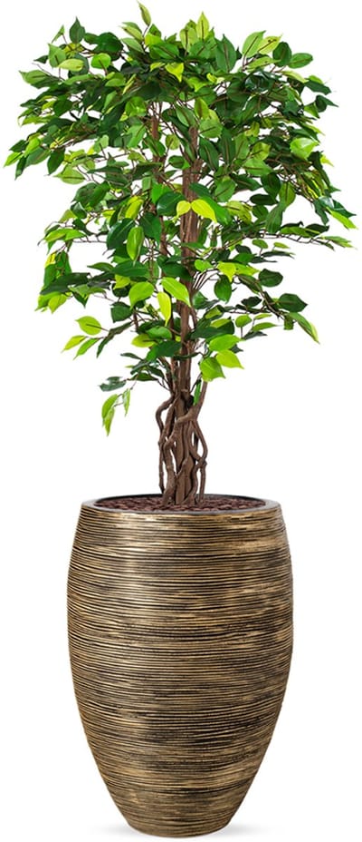 Kunstplant Ficus in Vaas elegant Deluxe rib zwartgoud H165 cm