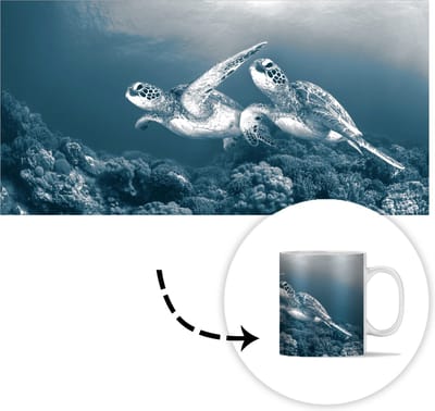 Mok - Koffiemok - Schildpad - Zeedieren - Zwart wit - Wilde dieren - Mokken - 350 ML - Beker - Koffiemokken - Theemok