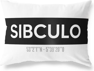 Tuinkussen SIBCULO - OVERIJSSEL met coördinaten - Buitenkussen - Bootkussen - Weerbestendig - Jouw Plaats - Studio216 - Modern - Zwart-Wit - 50x30cm
