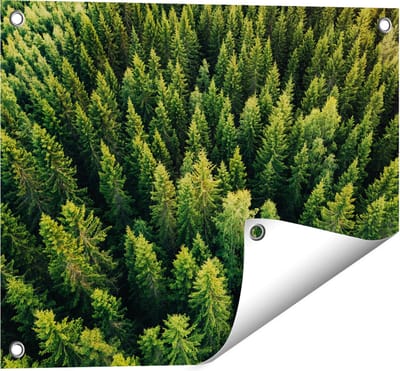 Gards Tuinposter Bos met Bomen vanaf Boven - 50x40 cm - Tuindoek - Tuindecoratie - Wanddecoratie buiten - Tuinschilderij