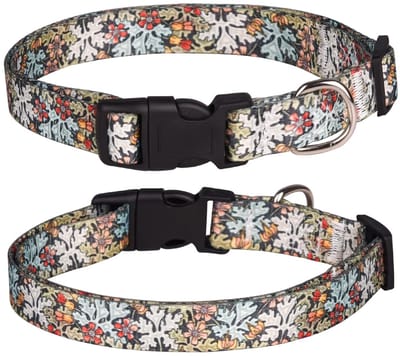 Dailygoods- Hondenhalsband Verstelbaar - Hondenhalsband Zacht - Hondenhalsband Bloemen - Hondenhalsband Duurzaam - Hondenhalsband Maat XL (43-71 cm) - Hondentuig