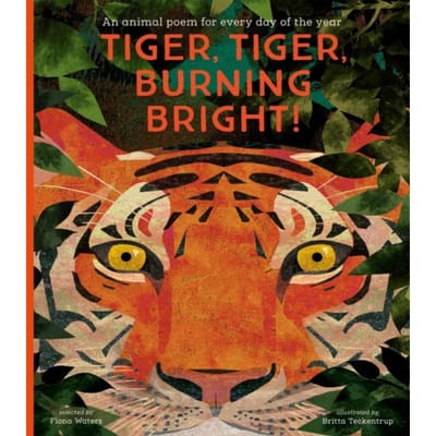 National Trust Tijger Tijger Brandend Helder Een Dieren Gedicht voor Elke Dag van het Jaar Poëzie... 9781788005678