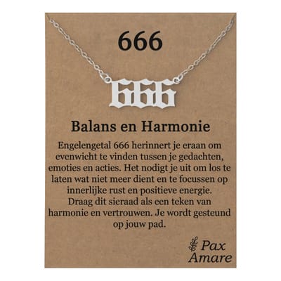 666 Engelen Getal Ketting op Cadeau Kaartje - Zilverkleurig - Stainless Steel Spirituele Hanger - 45cm + 5cm verstelbaar - Pax Amare