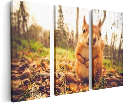 Artaza Canvas Schilderij Drieluik Eekhoorn in het Bos tijdens de Herfst - 120x80 - Foto Op Canvas - Canvas Print