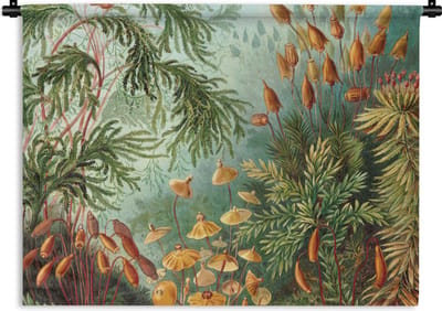 Wandkleed - Wanddoek - Oude meesters - Kunst - Muscinae - Haeckel - 120x90 cm - Wandtapijt