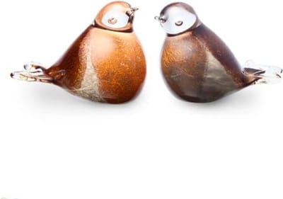Urnencenter© Vogel Urn - Roodborstje Transparant Dieren Hartjes Urn - Urn - Urn voor as - Urn Hond - Urn Kat - Urn Deelbewaring - Mini Urn - Kleuren: Oranje/Bruin