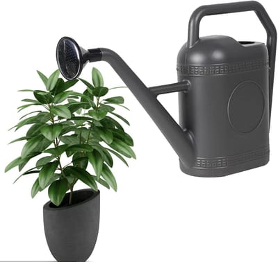 Binnen gieter - Planten sproeier - Planten water geven - Lange smalle tuit - 5 liter capaciteit