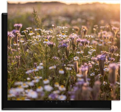 KitchenArt - Evening Meadow - Inductie Beschermer - 52x35 cm - Kookplaat Beschermer - Luxe Afdekplaat Inductieplaat - Anti-slip & Oprolbaar - Beschermmat Inductiekookplaat
