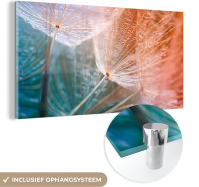 MuchoWow® Glasschilderij 40x20 cm - Schilderij acrylglas - Bloem - Paardenbloem - Plant - Foto op glas - Schilderijen