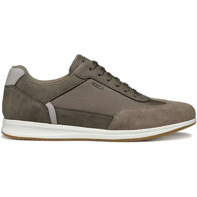 Lage Sneakers Geox U Avery