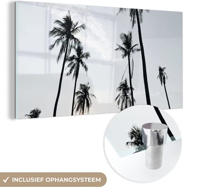 MuchoWow® Glasschilderij 40x20 cm - Schilderij acrylglas - Palmbomen - Zomer - Tropisch - Foto op glas - Schilderijen