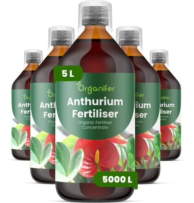 Vloeibare Meststof Voor Anthurium 5X1 L Voor 5000 L - Npk 3-4-3 - Overvloedige Bloei - Levendige Schutbladen - Kleurintensiteit - Sterke Wortelontwikkeling - Rechtopstaande Stele - Lage Luchtvochtigheid - Diepgroen Glanzend Blad - Organifer