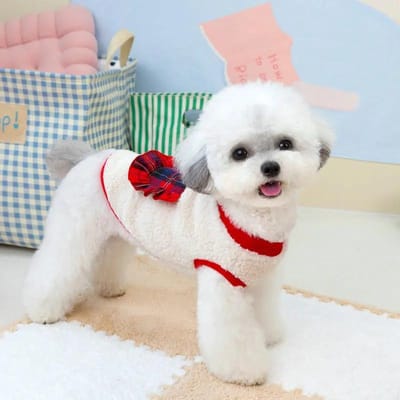 Huisdier Herfst/Winter Geruite Fluwelen Jas Kerstjas Schattige Geruite Kantzak Teddybeer Kleine Hond Hond Lamswol Fluwelen Jas XL