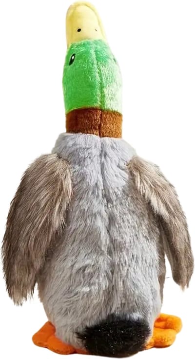 Livano Honden Speelgoed - Hond - Speelgoed - Dog Toy - Pluche - Eend