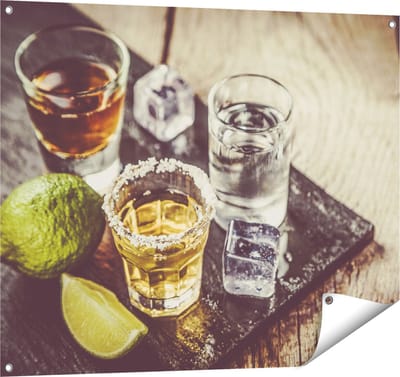 Gards Tuinposter Alcoholische Drankjes - Drank - 100x80 cm - Tuindoek - Tuindecoratie - Wanddecoratie buiten - Tuinschilderij