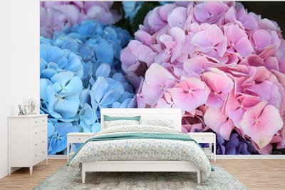 Behang - Fotobehang Bloemen - Struik - Hortensia - Botanisch - Breedte 350 cm x hoogte 260 cm
