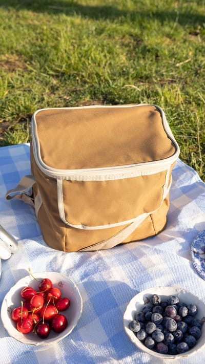Geïsoleerde Koeltas| Lunchtas| Thermotas| 12 Liter| Picknicktas| Koeltas voor op reis met draagband| Bruin