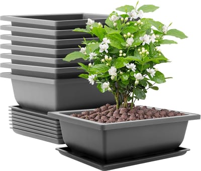 8-delige set Bonsai schaaltjes met onderzetters voor binnen en buiten - Kunststof plantenpotten - Groot formaat - Ideale bloempotten voor tuin - 22,5 x 16,5 x 7,5 cm