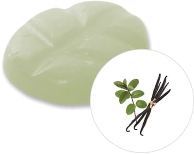 Scentchips® Vanilla Patchouli - Geurblokjes - Huisparfum - Geurchips - Waxmelts - Geschikt voor Geurbrander en Waxbrander - L - 26 Stuks