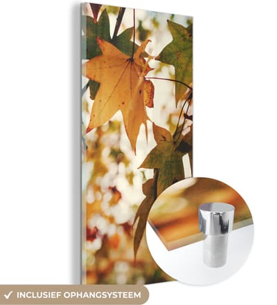 MuchoWow® Glasschilderij 20x40 cm - Schilderij acrylglas - Natuur - Herfstbladeren - Landelijk - Foto op glas - Schilderijen