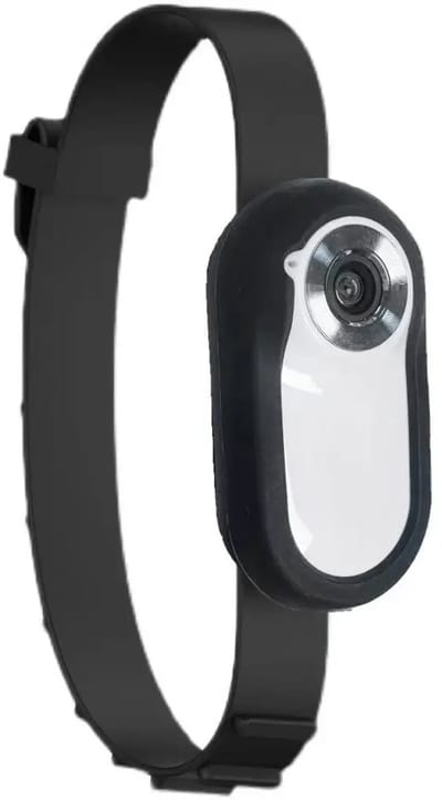 CYRO - Huisdiercamera - Halsband Camera - Camera Huisdier - Pet Camera - Petcam - Geen Wifi Nodig - 64GB - voor Honden en Katten