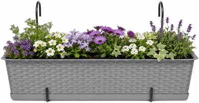 Prosperplast plantenbak Buster - taupe - rechthoek - met twee ophangbeugels - 60 x 17 x 15 cm - kunststof - bloembakken - potten