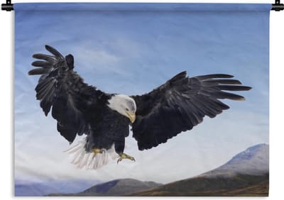 Wandkleed Amerikaanse zeearend - Een Amerikaanse zeearend wil landen Wandkleed katoen 90x67 cm - Wandtapijt met foto