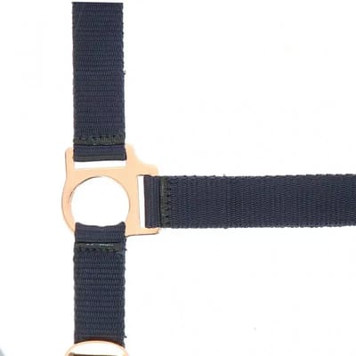 Halster voor paarden Norton Rose gold