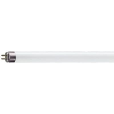 Philips 70473327 fluorescente lamp 8W G5 Koel wit
