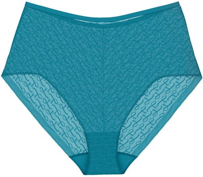 Triumph Maxislip Red Label Signature Sheer