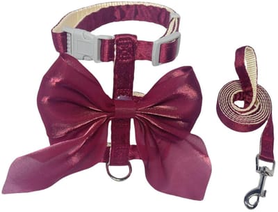 Dailygoods - Kattenharnas, kattenharnas met riem en halsband, verstelbaar harnas met grote decoratieve strik, geschikt voor katten en puppy's (rood)