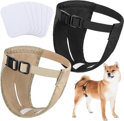 Herbruikbare hondenluiers voor vrouwelijke honden - 2-pack wasbare en verstelbare beschermende broekjes voor honden (maat L)