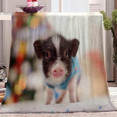 Warme Flanellen Deken - Pluizige Plaid - Gezellig op de bank - Anti-pilling stof - 180 x 220 cm - Grijs