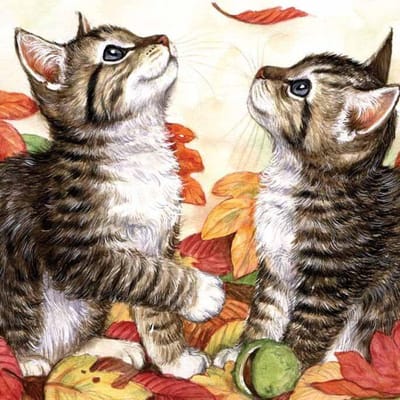 5d Diy Kat Cartoon Gift Broderies Diamanten Versier Diamant Mozaïek Schilderij Volledig Diamant Borduursel 30x30 gray