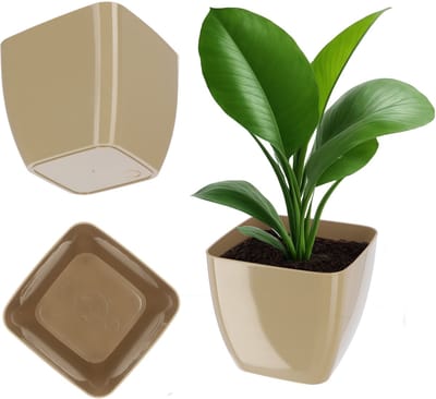 KADAX Bloempot van kunststof, diameter 8 - 20 cm, 11 kleuren, elegante bloempot, pot, tuinkom, bloembak, bloempotbescherming voor kantoor, 15,5 cm, beige