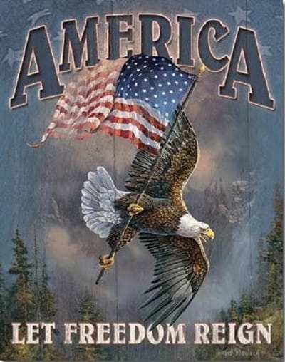 America - Let Freedom Reign Metalen wandbord 31,5 x 40,5 cm
