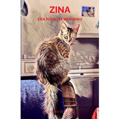 Zina - Olav Van der Stad