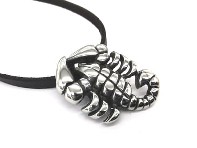 Stoere RVS Schorpioen hanger met prachtig platte ketting 50 cm