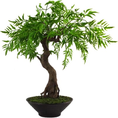 Kunstmatige Bonsai Ficus in Zwarte Keramische Pot, 45 cm, Gemengde Materialen