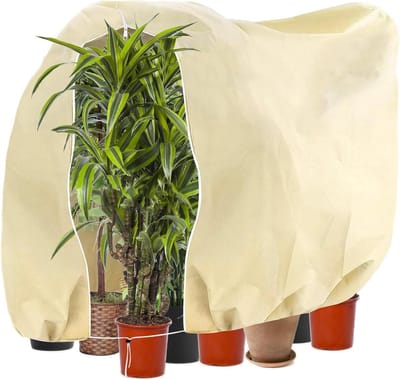 Plantenbescherming tent voor winter - 200 x 240 cm - ademend en scheurvast