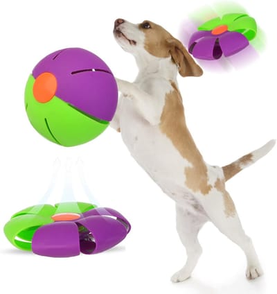 Stuiterende Bal - Magische Bal - Spelen Binnen - Dubbele Vorm - 11 x 11 cm