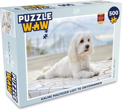 Puzzel Kalme Maltezer ligt te ontspannen - Legpuzzel - Puzzel 500 stukjes
