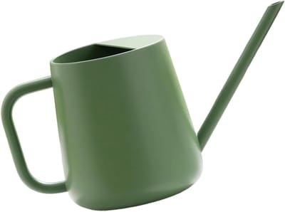 Gieter Kamerplanten - Waterkannetje Binnen - Planten Verzorgen - Lange Nauwe Tuit - 1000ml Capaciteit - Zilver