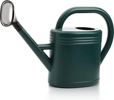 Gieter voor buiten- en kamerplanten, 1 liter plastic plantengieter met verwijderbare sproeikop, groene gieter voor planten, tuin, bloemen, kantoor.